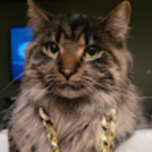 Meet your Posher, Matteo